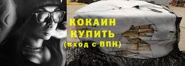 шишки Белоозёрский