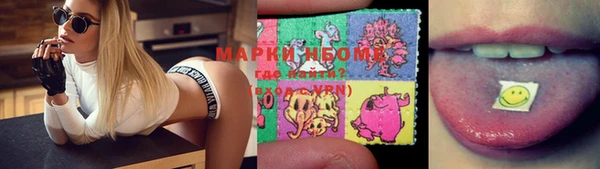 шишки Белоозёрский