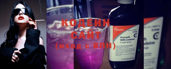 шишки Белоозёрский