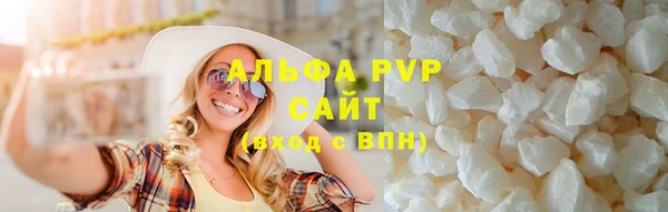 шишки Белоозёрский