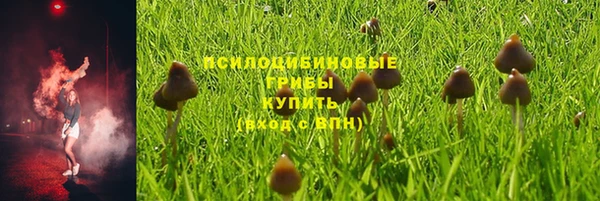 герыч Белокуриха