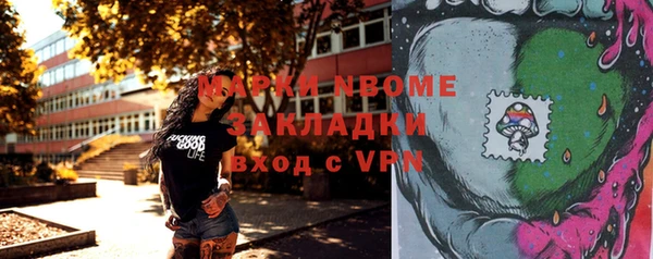 шишки Белоозёрский