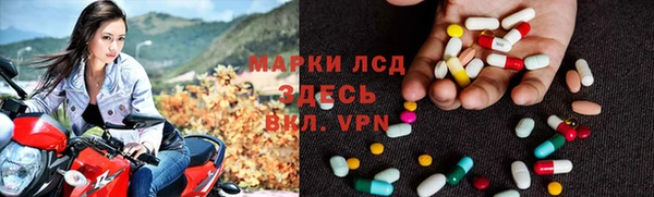шишки Белоозёрский