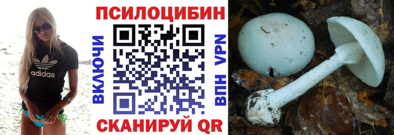 Псилоцибиновые грибы мицелий  Котельниково 